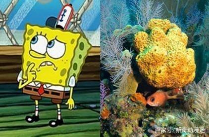 动漫：海绵宝宝中的5位角色原形，章鱼哥高傲，最后一位神还原！