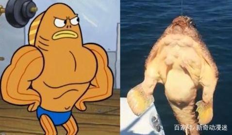 动漫：海绵宝宝中的5位角色原形，章鱼哥高傲，最后一位神还原！