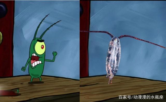 海绵宝宝：动漫与现实中的碰撞，小蜗最可爱，蟹老板你来搞笑的吗