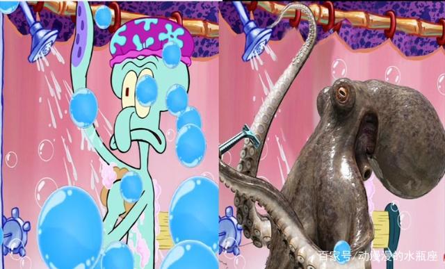 海绵宝宝：动漫与现实中的碰撞，小蜗最可爱，蟹老板你来搞笑的吗