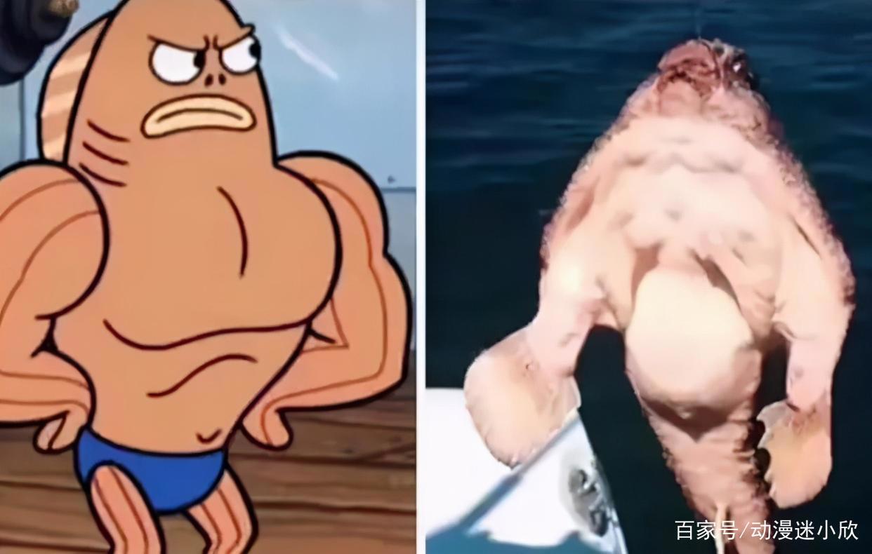 关于《海绵宝宝》的一些冷知识，看看是否有你不知道的事实