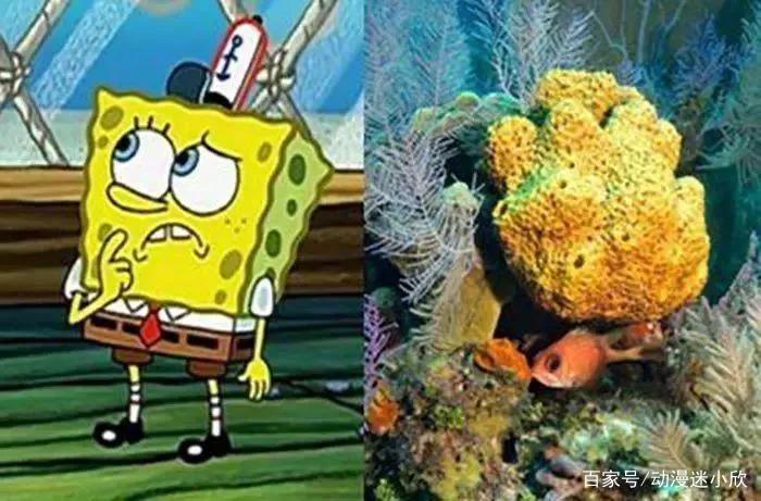关于《海绵宝宝》的一些冷知识，看看是否有你不知道的事实