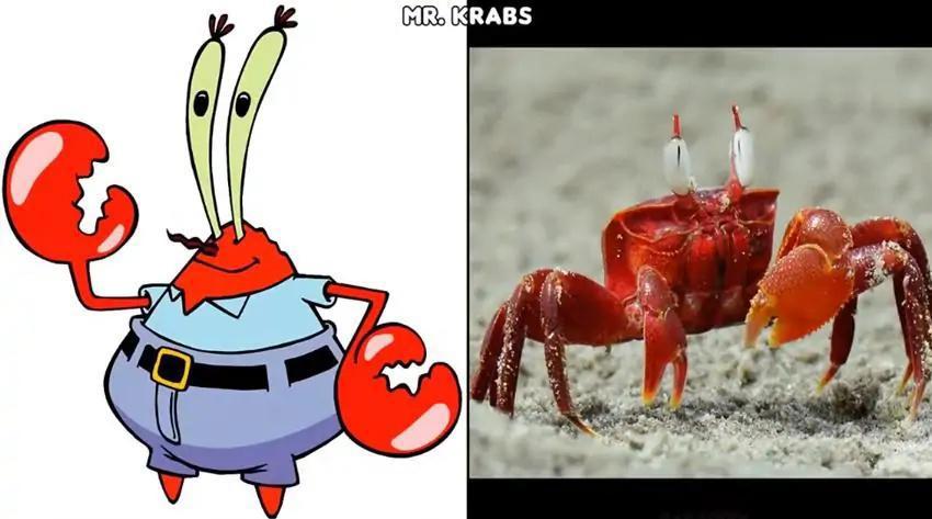 《海绵宝宝》现实版，海绵宝宝迎来中年危机，松鼠还穿上了潜水服