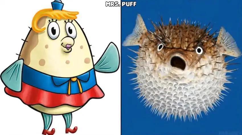 《海绵宝宝》现实版，海绵宝宝迎来中年危机，松鼠还穿上了潜水服