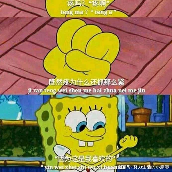 最喜欢的动漫：第三部《海绵宝宝》