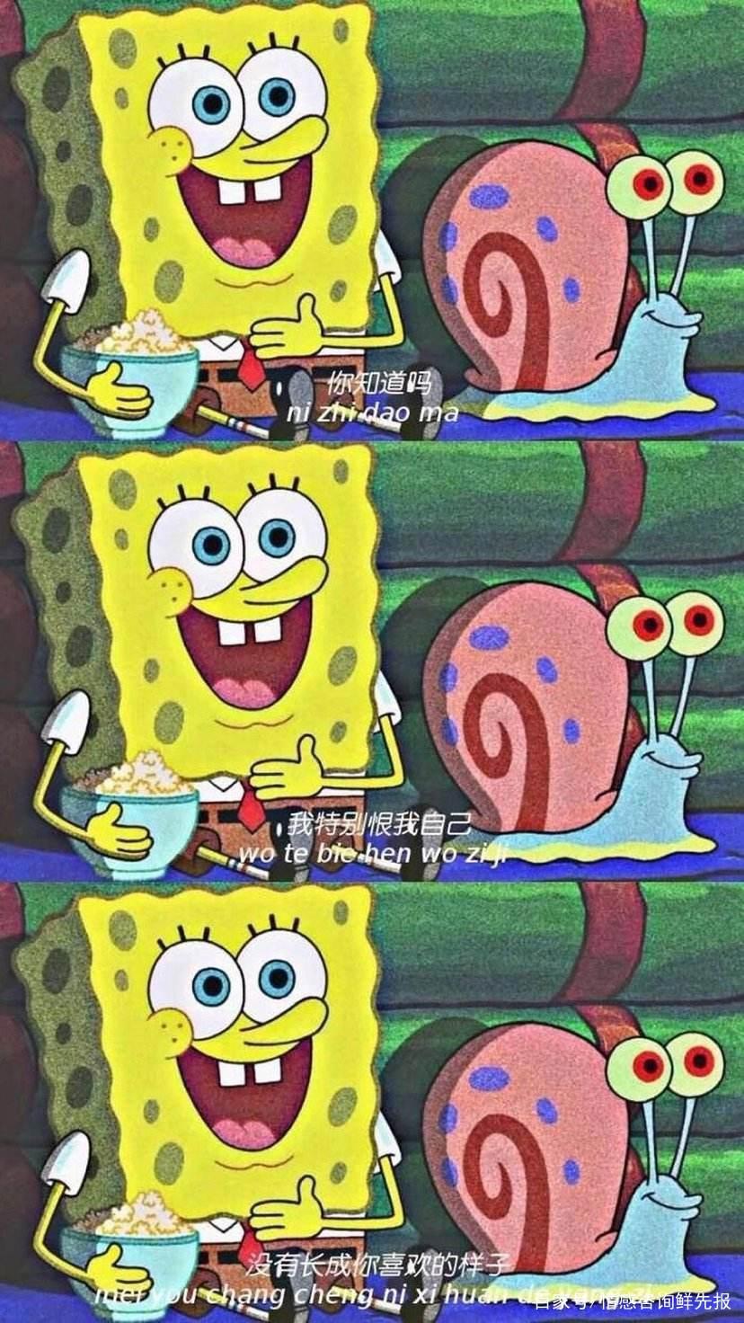 《海绵宝宝》这部动漫中网友评论相比章鱼哥他们更讨厌海绵宝宝