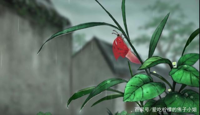 以《中国唱诗班》为例，浅析传统文化的传承与自我救赎