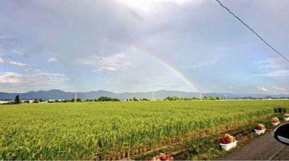 他们倒在了平成的最后一个夏天，却活出了我想要的青春啊！
