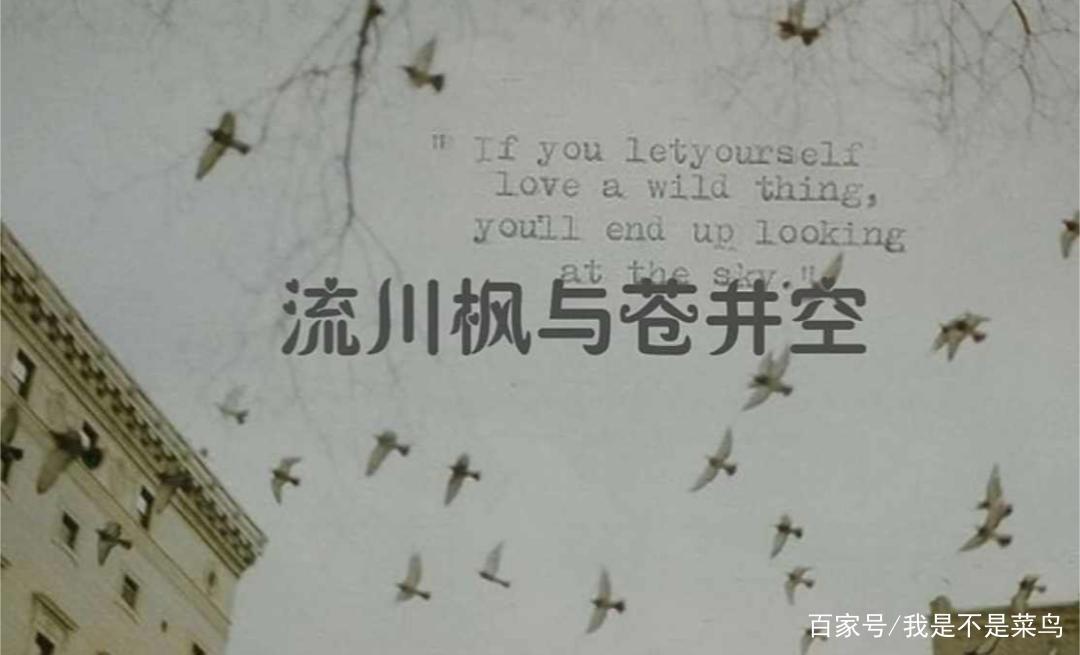 《流川枫与苍井空》是怎么回事？好好的赤木晴子他为何不珍惜？