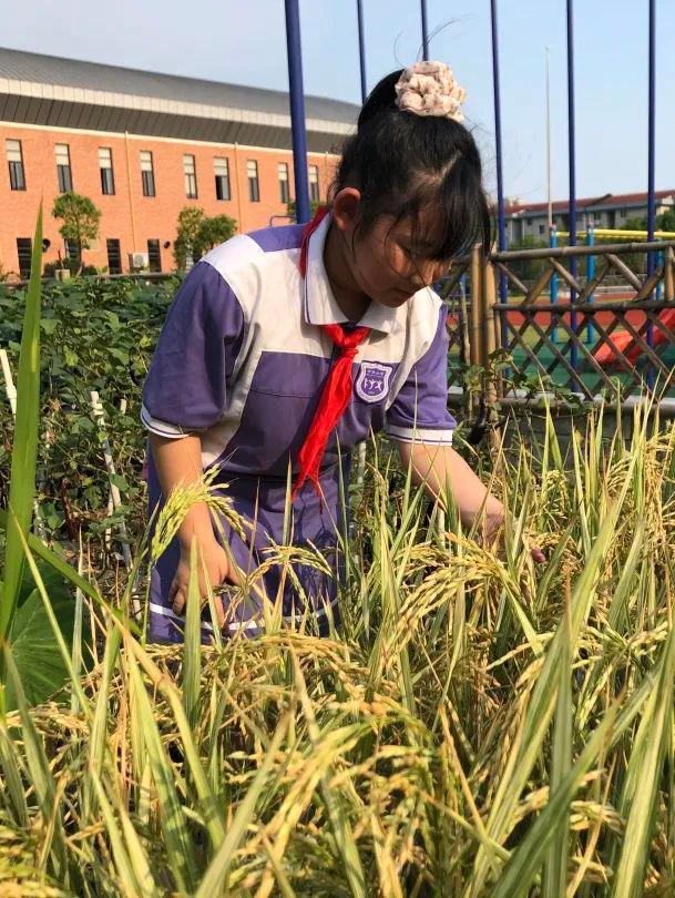 “双减”后的2小时能做啥？南桥这些学校活动个比个精彩！