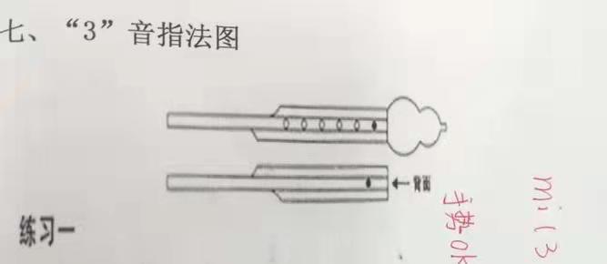 延安实验小学三年级寒假作业清单