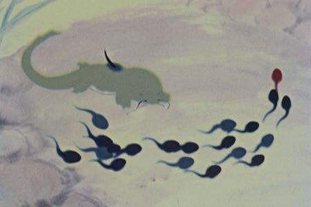 盘点15部国产怀旧动画短片，你看过多少