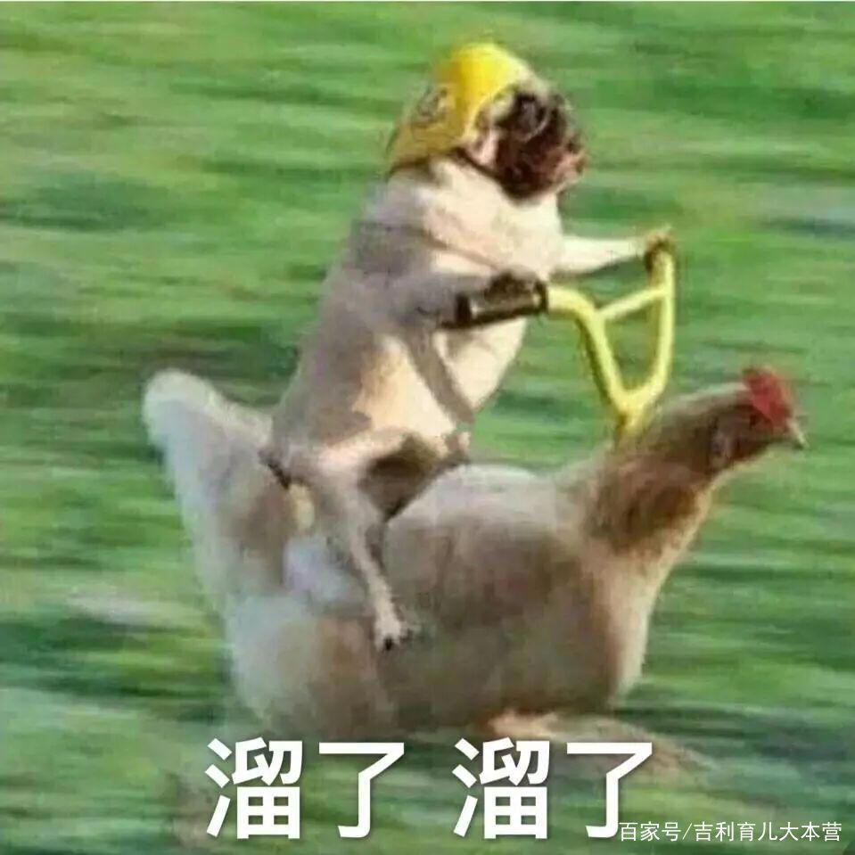 熊孩子趁父母出门，把妹妹放到锅里加水“炖”了，父母发现很崩溃