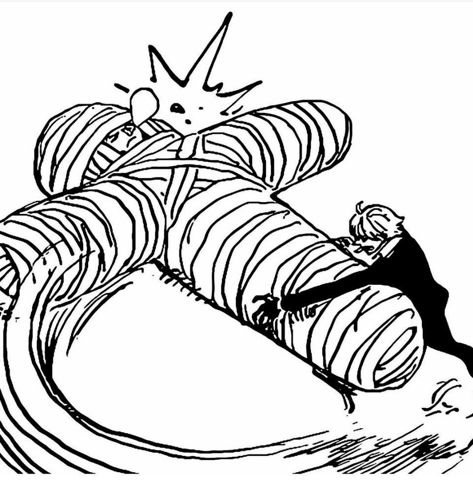 海贼王1027话，索隆砍掉烬的面具，导致他暴走，开启人兽形态