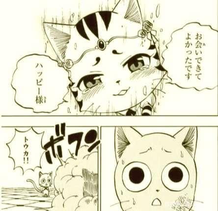 妖精的尾巴：百年任务先行，S级魔导士死斗，无敌的艾露莎终倒下