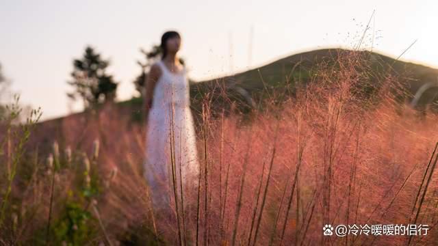 秋日限定花海上线，在花海中打造童话世界，江浙沪亲子游好去处