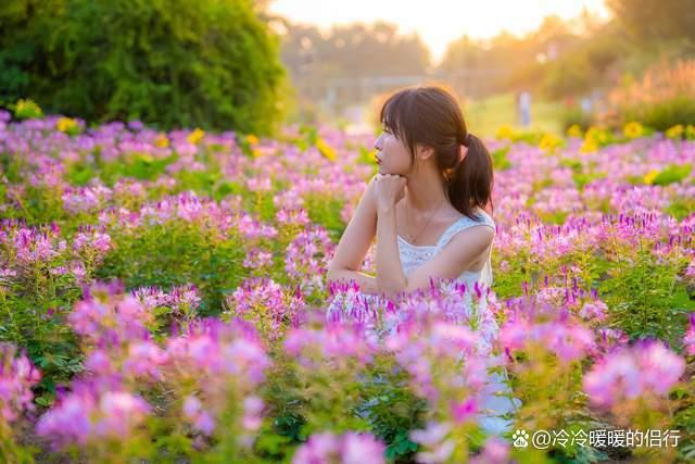 秋日限定花海上线，在花海中打造童话世界，江浙沪亲子游好去处