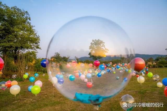 秋日限定花海上线，在花海中打造童话世界，江浙沪亲子游好去处