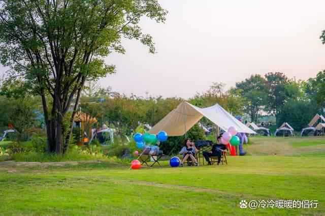 秋日限定花海上线，在花海中打造童话世界，江浙沪亲子游好去处
