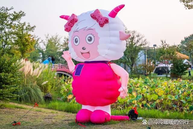 秋日限定花海上线，在花海中打造童话世界，江浙沪亲子游好去处