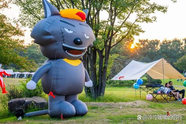 秋日限定花海上线，在花海中打造童话世界，江浙沪亲子游好去处