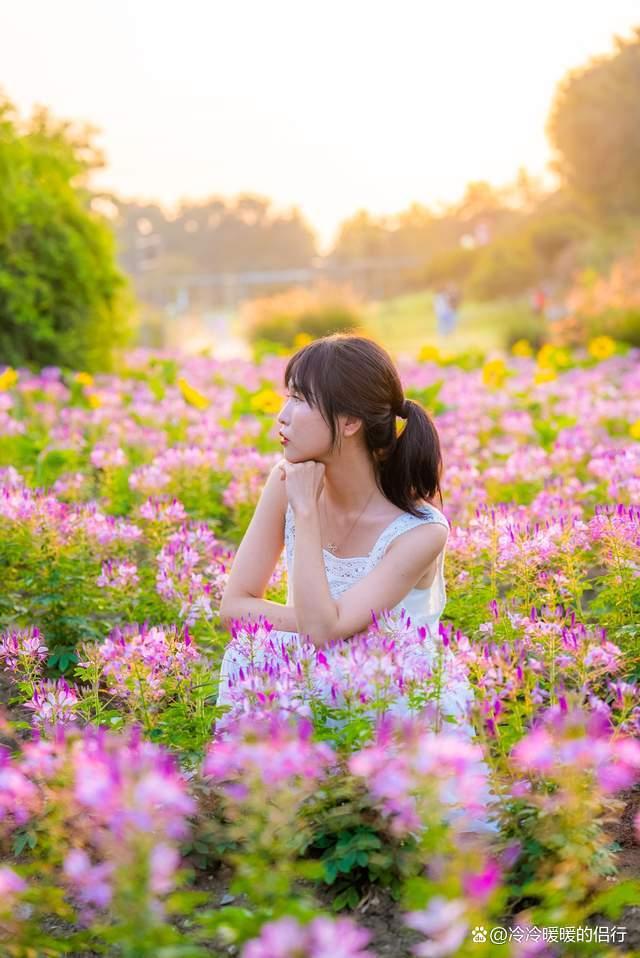 秋日限定花海上线，在花海中打造童话世界，江浙沪亲子游好去处