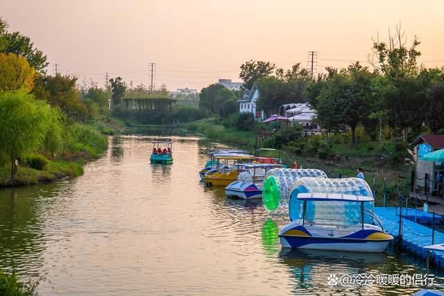 秋日限定花海上线，在花海中打造童话世界，江浙沪亲子游好去处