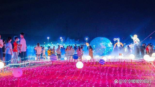 秋日限定花海上线，在花海中打造童话世界，江浙沪亲子游好去处