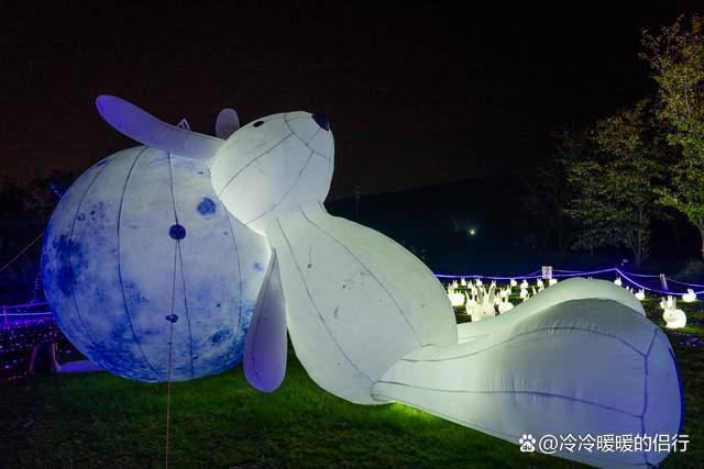 秋日限定花海上线，在花海中打造童话世界，江浙沪亲子游好去处