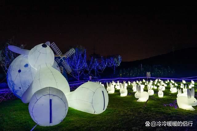 秋日限定花海上线，在花海中打造童话世界，江浙沪亲子游好去处