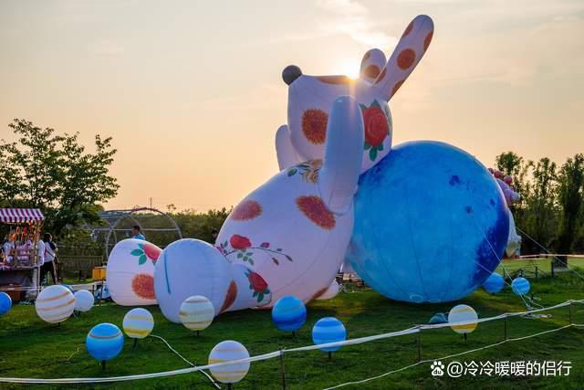 秋日限定花海上线，在花海中打造童话世界，江浙沪亲子游好去处