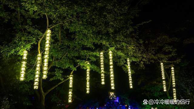 秋日限定花海上线，在花海中打造童话世界，江浙沪亲子游好去处