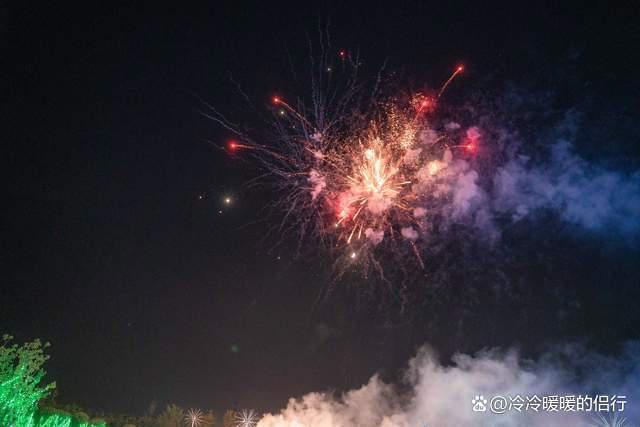 秋日限定花海上线，在花海中打造童话世界，江浙沪亲子游好去处