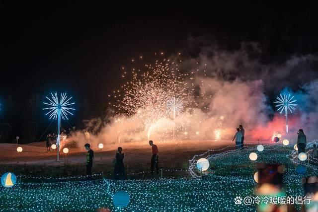 秋日限定花海上线，在花海中打造童话世界，江浙沪亲子游好去处