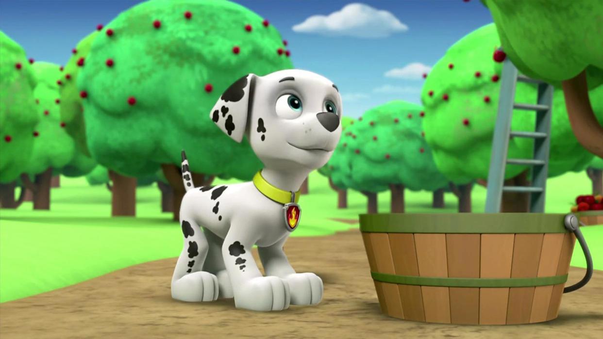 哪只不是《汪汪队立大功》中的狗狗？15后用时2秒，10后弃权？