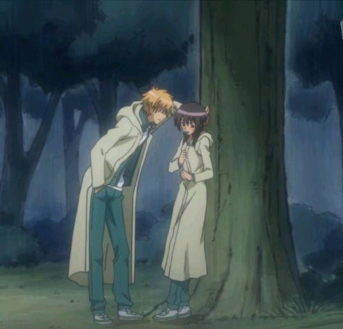 会长是女仆大人：还记得这些令人心动的瞬间吗？给你的生活加点糖！