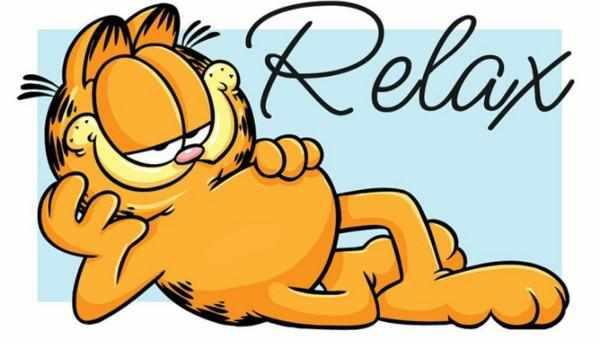 动漫里的猫咪，你能说出它们的名字吗，都认识就说明你老了