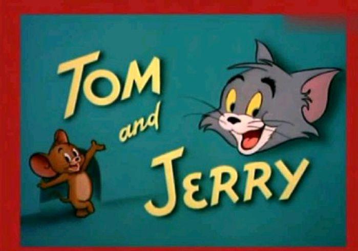 猫和老鼠：汤姆表白美女猫，被杰瑞破坏后自己乘虚而入