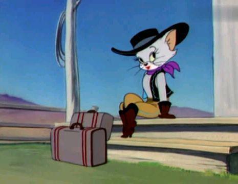 猫和老鼠：汤姆表白美女猫，被杰瑞破坏后自己乘虚而入