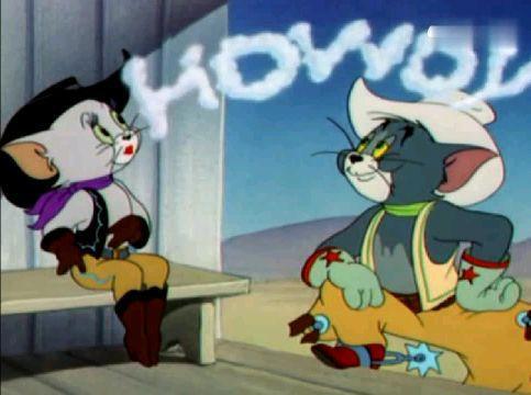 猫和老鼠：汤姆表白美女猫，被杰瑞破坏后自己乘虚而入