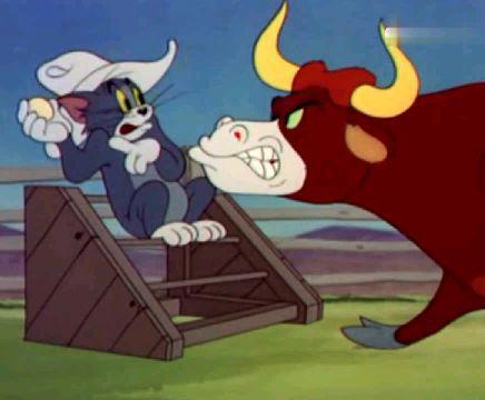 猫和老鼠：汤姆表白美女猫，被杰瑞破坏后自己乘虚而入