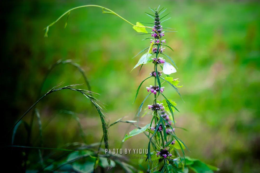 中国孩子已经变了，老师和家长却还没跟上