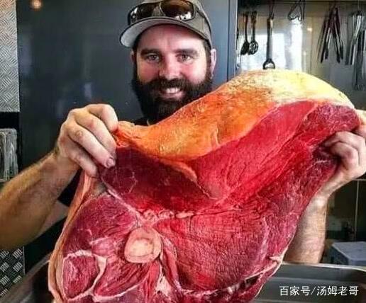 《猫和老鼠》中的大块肉，现实中竟真的存在？还有人吃到了