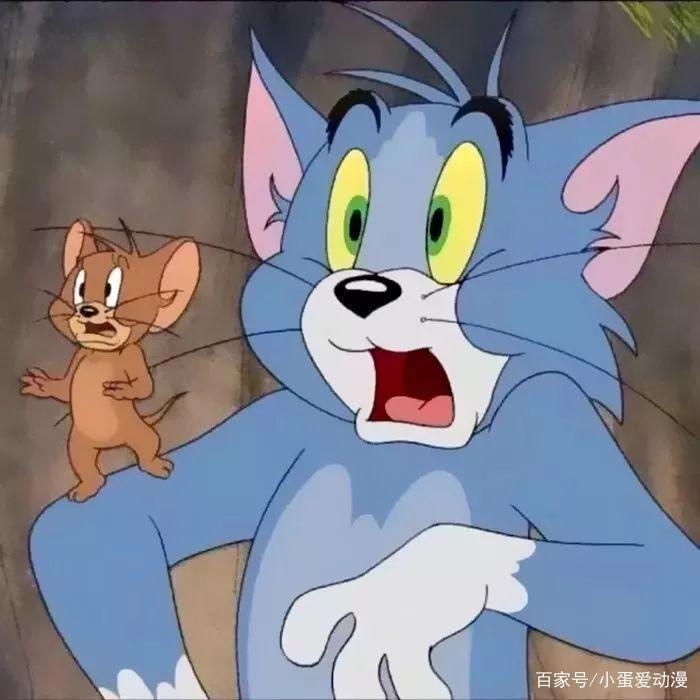 动漫中各式各样的猫咪，一定有你喜欢的