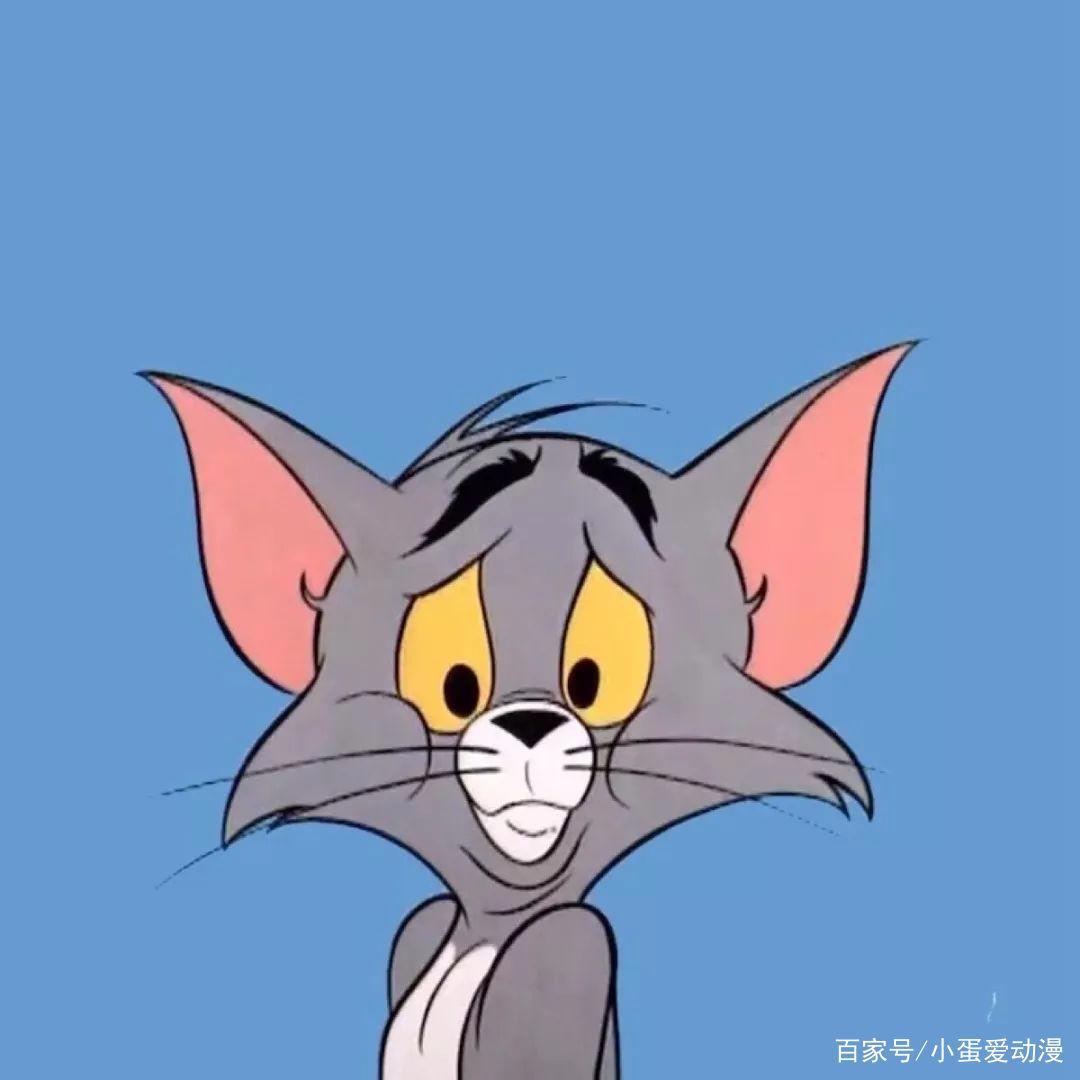 动漫中各式各样的猫咪，一定有你喜欢的