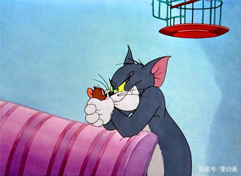 亦敌亦友，患难见真情，《猫和老鼠》带你见识不一样的友情！