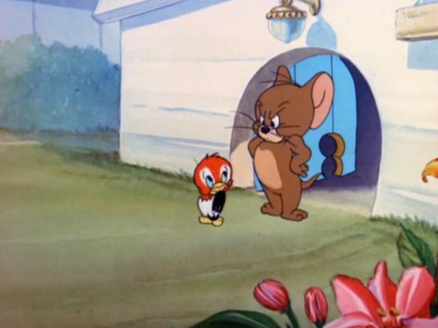 猫和老鼠：麻烦的诞生，杰瑞“喜当妈”