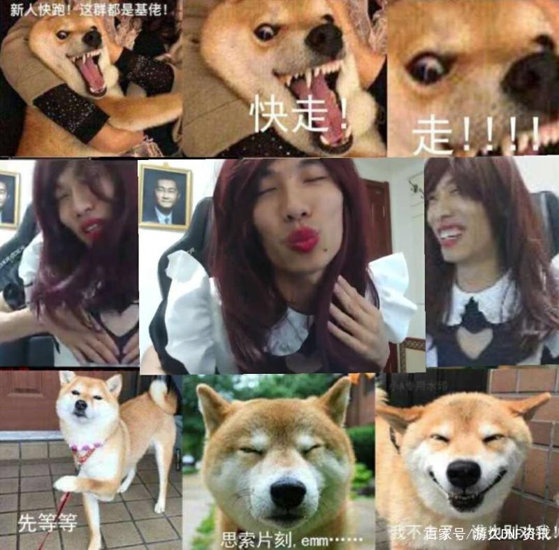 DNF2019年趣味盘点：不海荣获“全民情敌”称号