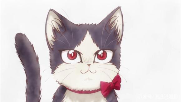 《同居人是猫》带阿宅们一起去看猫片