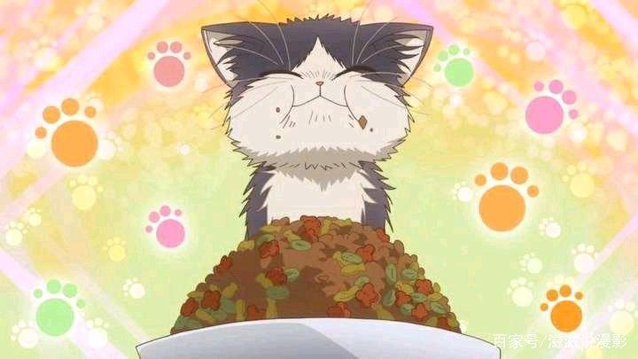 《同居人是猫》带阿宅们一起去看猫片